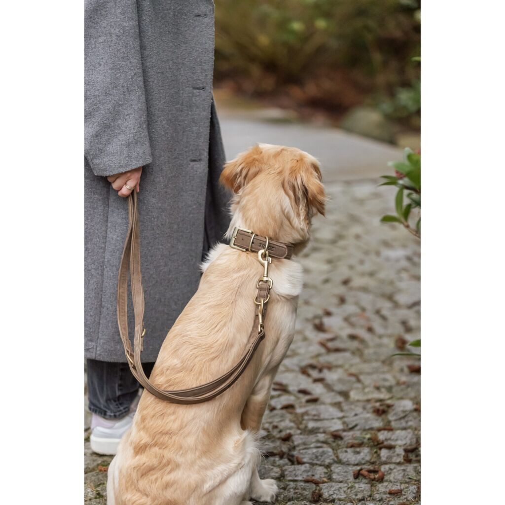 TRIXIE Hunde-Halsband Pure Halsband, Leder extra breit - braun - 25–31 cm/25 mm, Leder