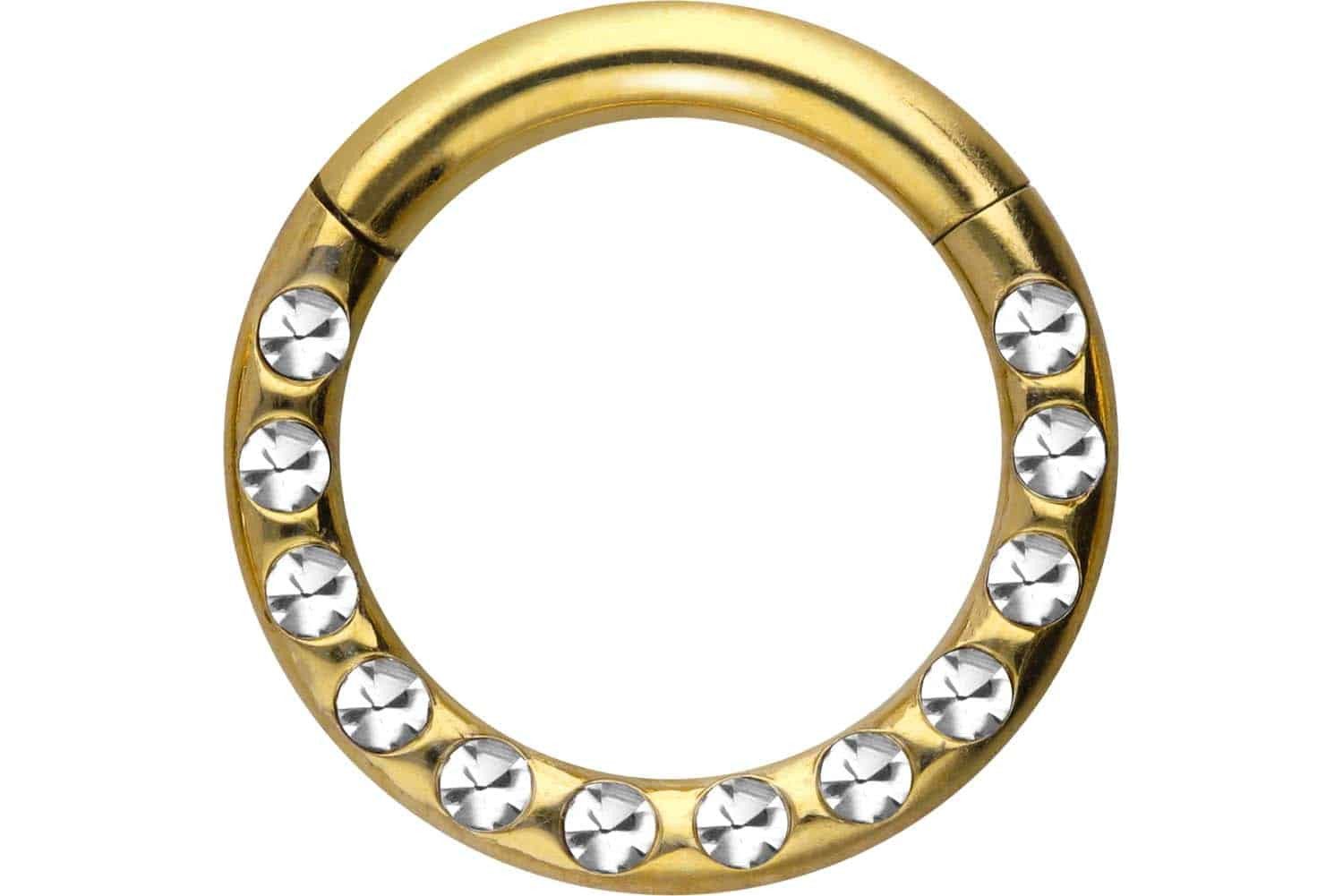 PIERCINGLINE Nasenpiercing Chirurgenstahl Segmentring Clicker KRISTALLE günstig online kaufen