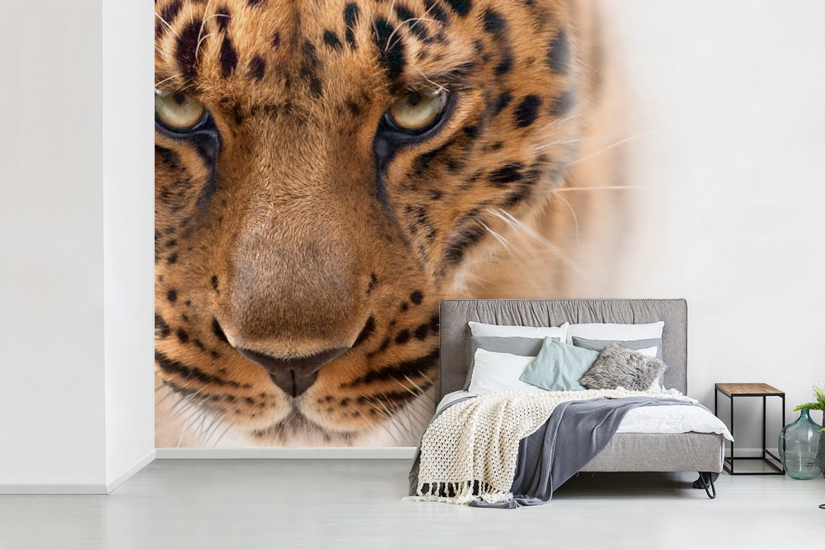 MuchoWow Fototapete Leopard - bedruckt, Pelz Kinderzimmer, Wohnzimmer, Schlafzimmer, Vinyl für - Tapete Matt, St), Weiß, (6 Wallpaper