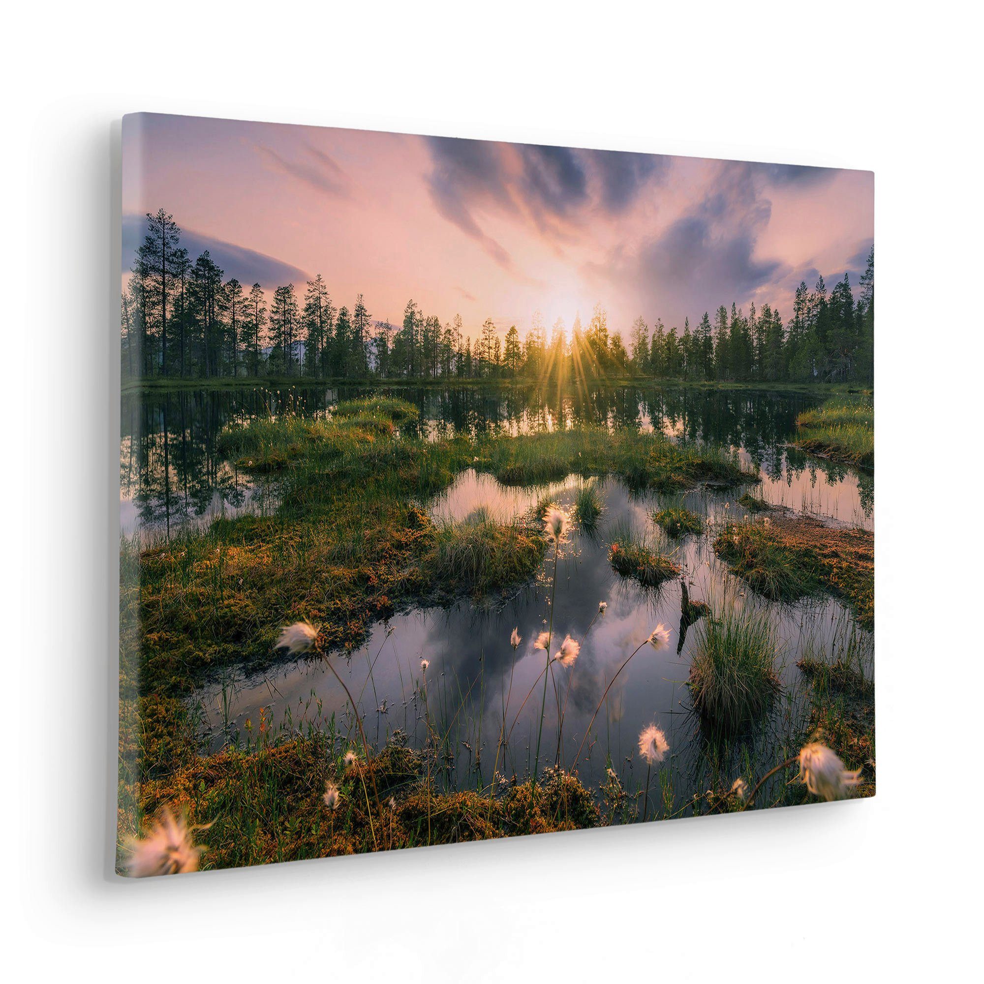 Komar Leinwandbild Gloomy Swamps - Größe günstig online kaufen