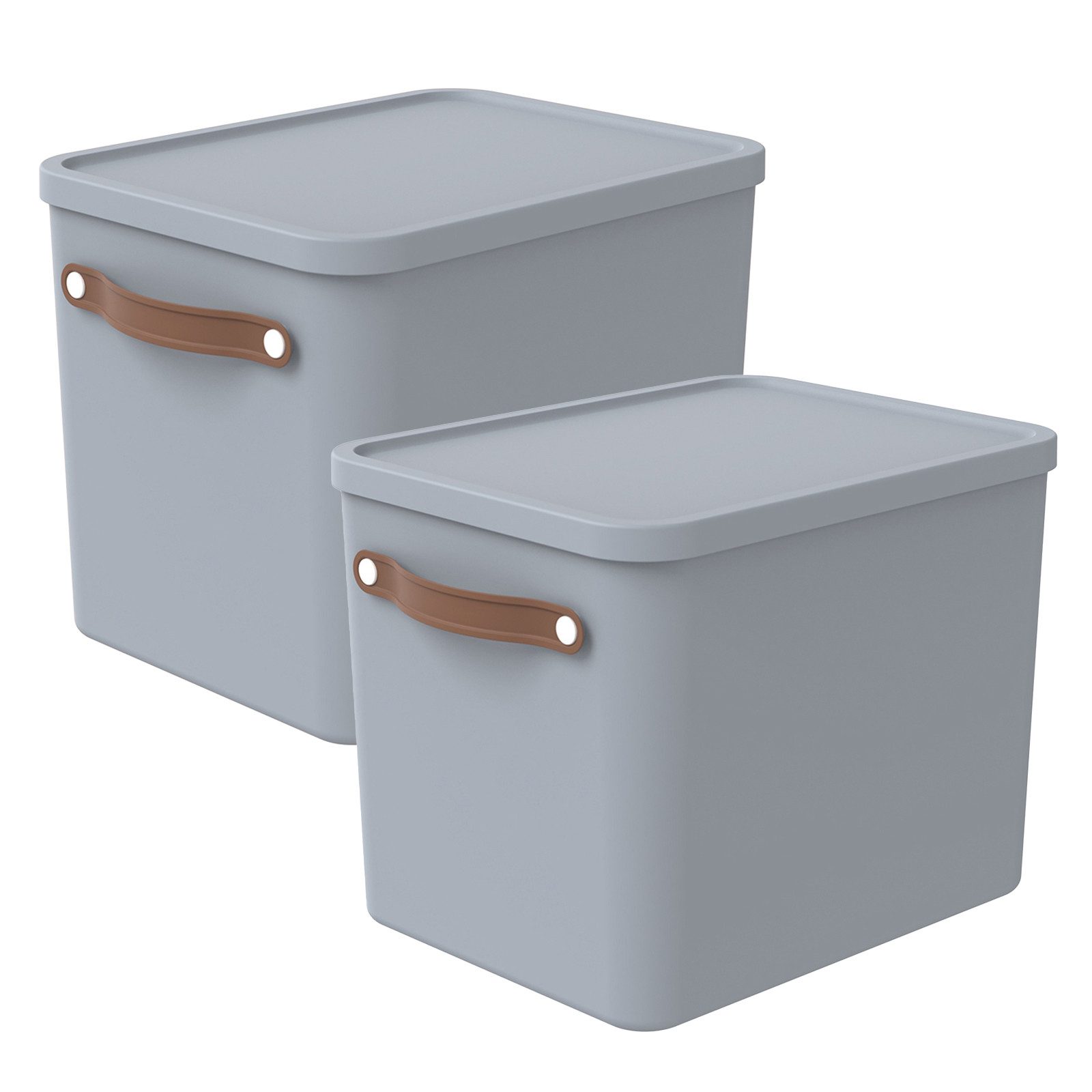 ROTHO Aufbewahrungsbox (Aufbewahrungsset, 2er-Set) günstig online kaufen