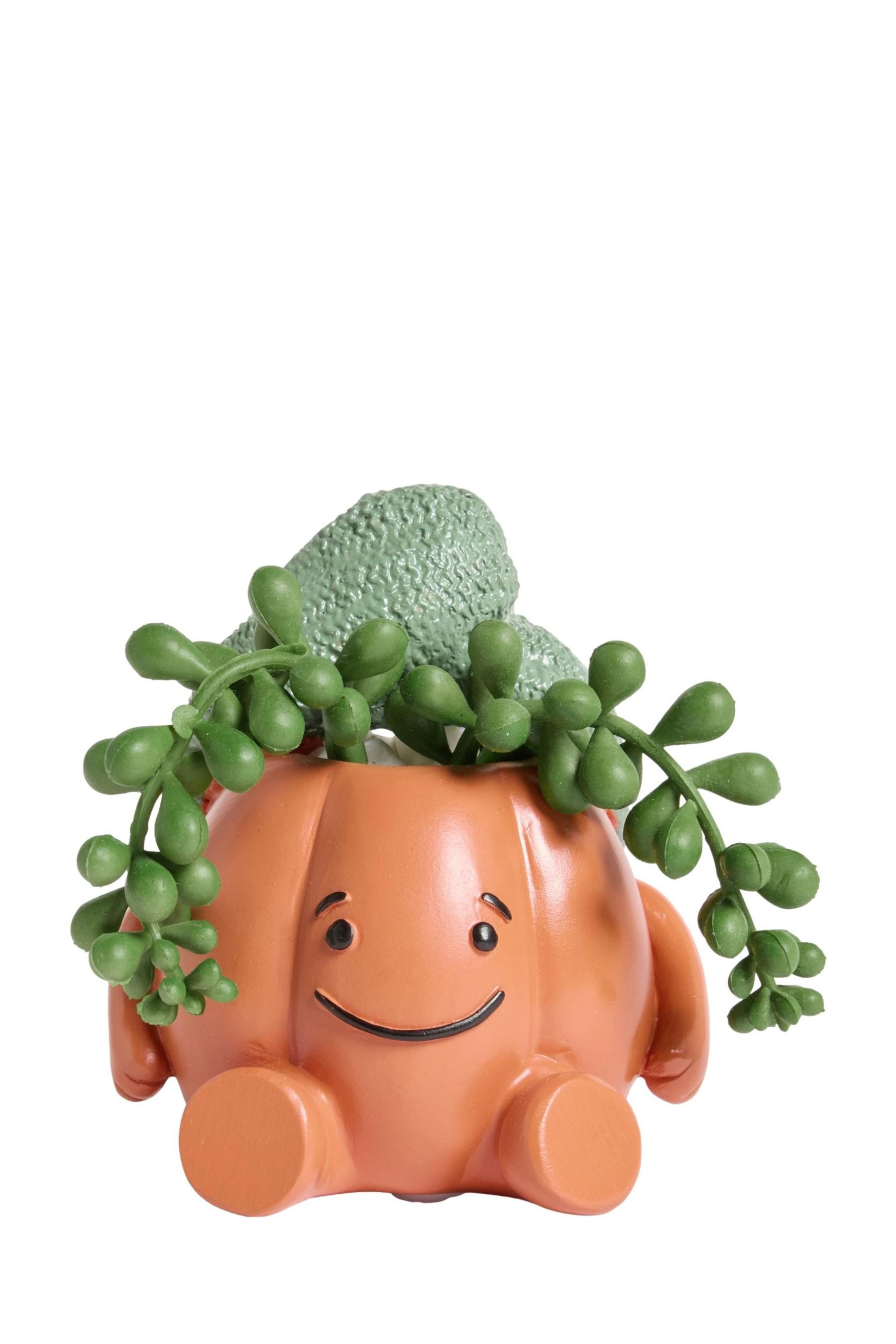 Next Dekoobjekt Kürbis Spa Ornament, Kunstpflanze günstig online kaufen