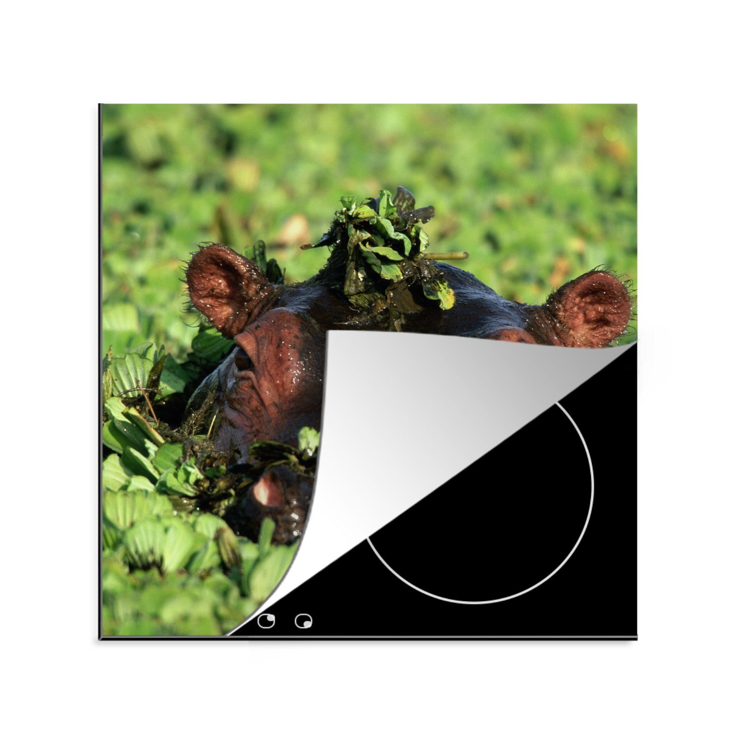 MuchoWow Herdblende-/Abdeckplatte Nilpferd - Wasser - Pflanzen, Vinyl, (1 tlg), 78x78 cm, Ceranfeldabdeckung, Arbeitsplatte für küche