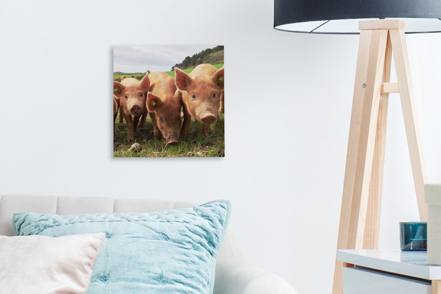Leinwandbild Leinwand (1 OneMillionCanvasses® Tiere, für Groß - - Schlafzimmer St), Wohnzimmer Schweine Bilder