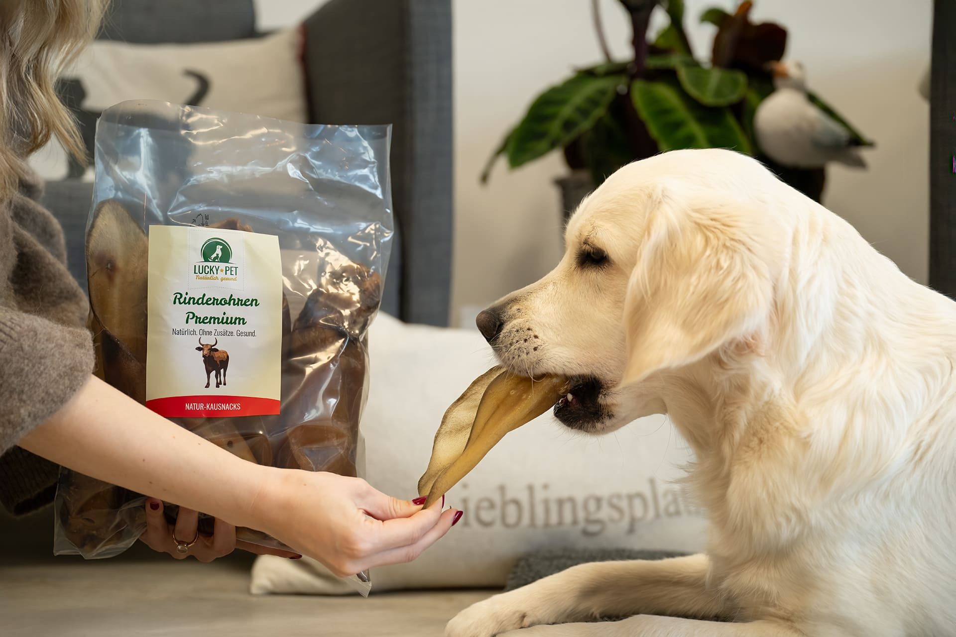 Lucky-Pet Lucky-Pet Rinderohren Premium, Snack für: Hund