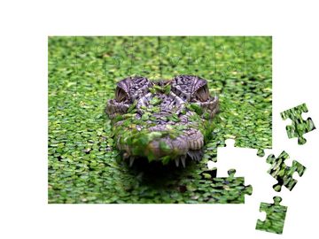 puzzleYOU Puzzle Das Salzwasserkrokodil, Crocodylus porosus, 48 Puzzleteile, puzzleYOU-Kollektionen Krokodile, Tiere in Dschungel & Regenwald