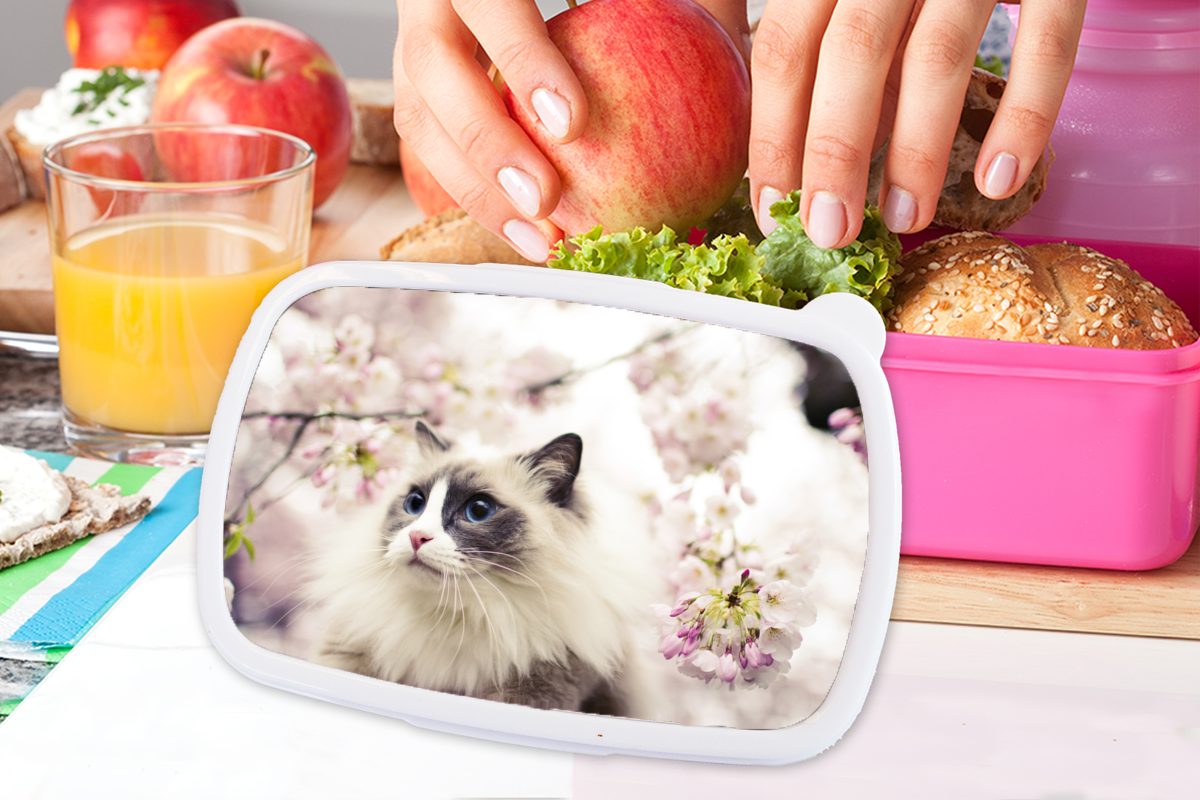 zwischen Erwachsene, Brotbox Mädchen, rosa Lunchbox Eine Ragdoll-Katze Kinder, (2-tlg), MuchoWow Kunststoff Blumen, Kunststoff, für Brotdose Snackbox,