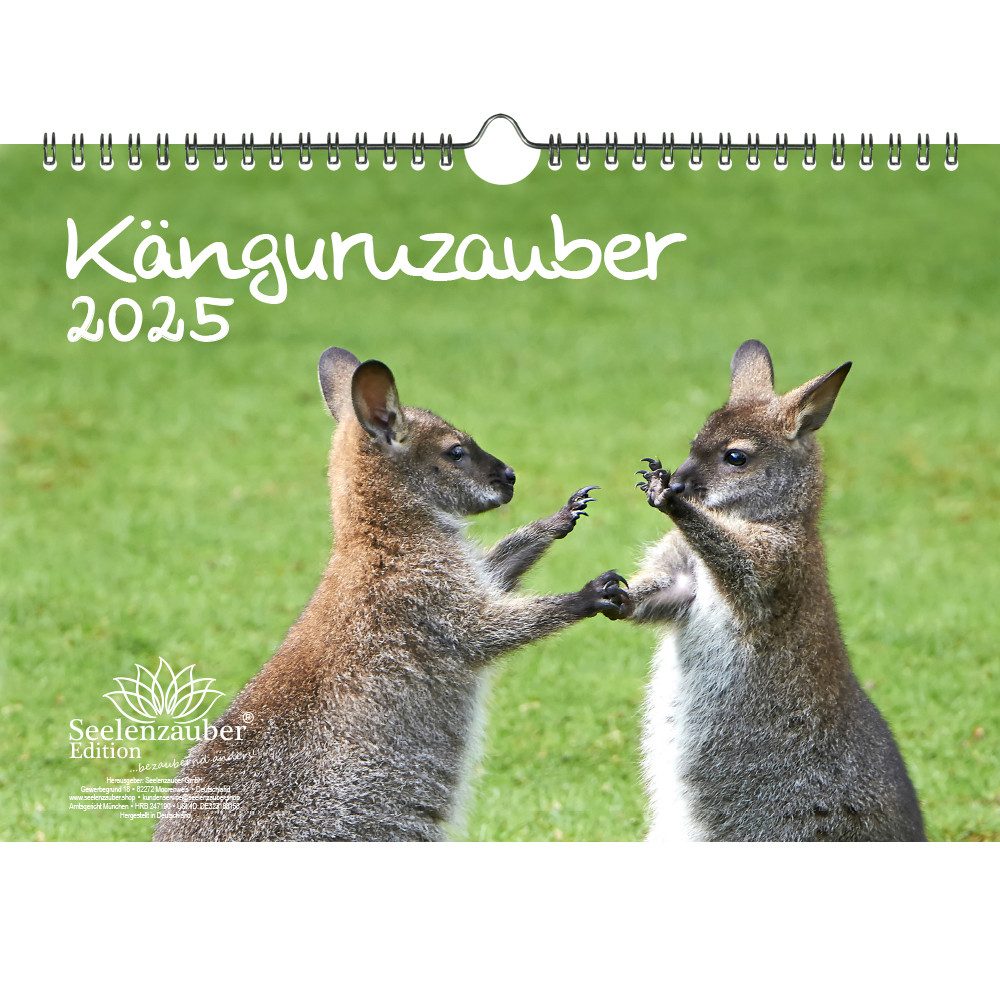 Seelenzauber Wandkalender Känguruzauber DIN A4 Kalender für 2025 Känguru