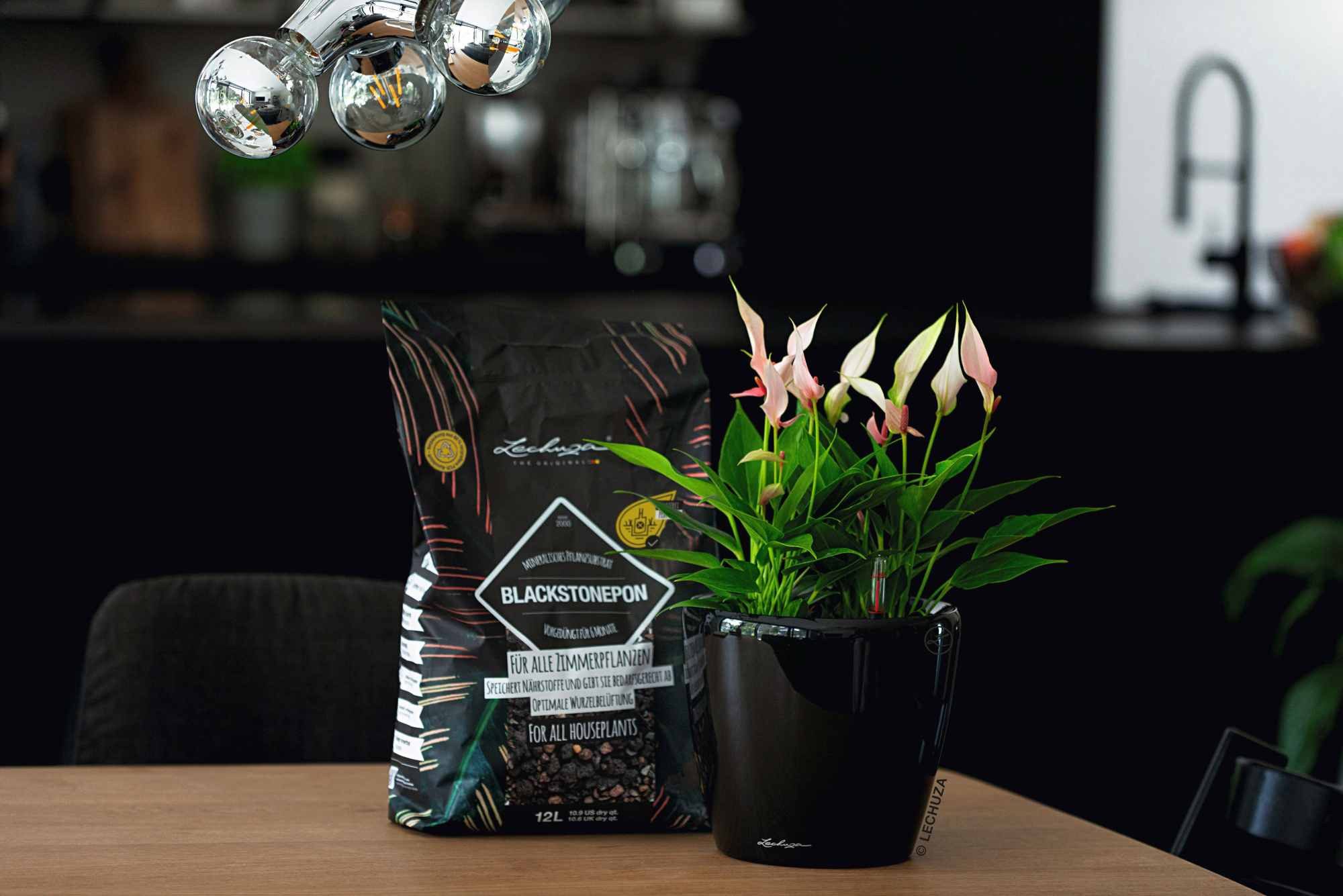 Lechuza® Spezialerde Lechuza Substrat Blackstonepon 12L vorgedüngt 19556