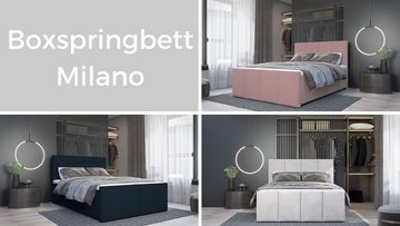 Best for Home Boxspringbett Milano Bonellfederkern inkl. 7-Zonen Topper T-30, Boxspringbett mit Bettkasten