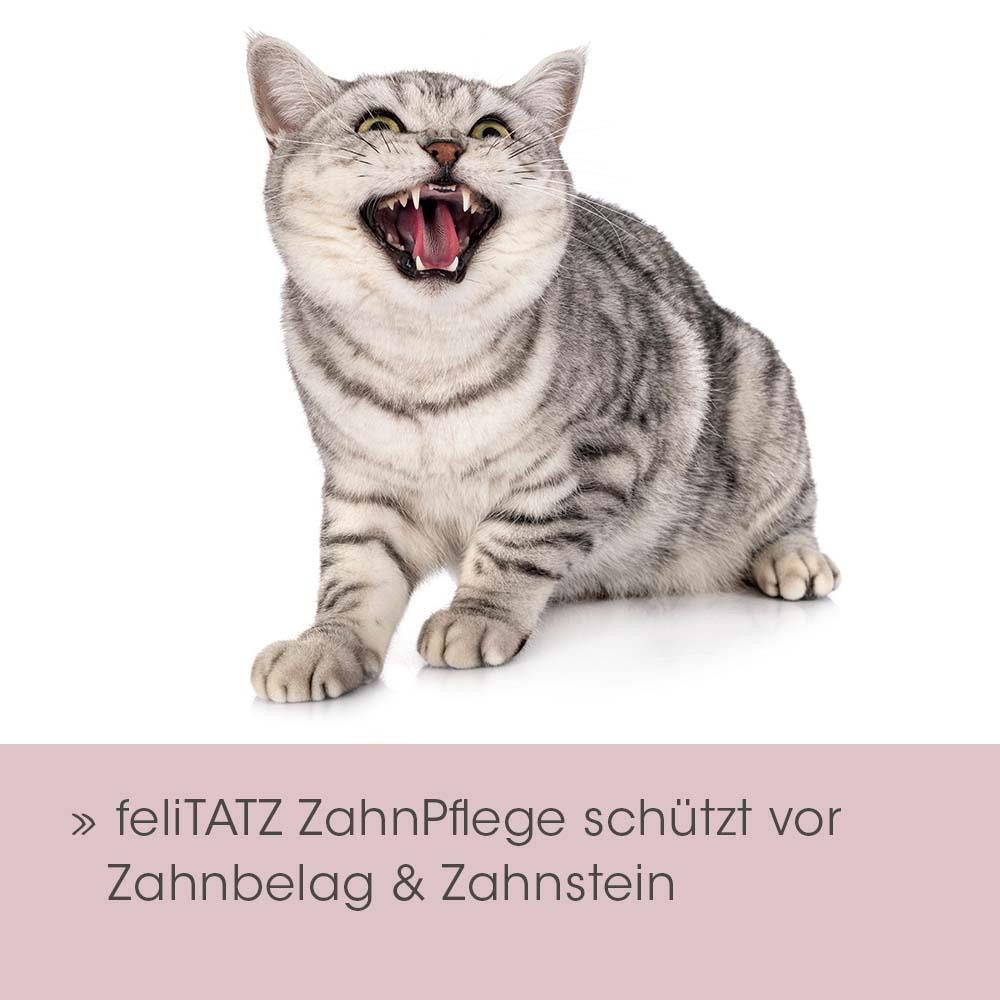 cdVet Tier-Zahnpflegeset feliTATZ ZahnPflege, ohne Sprühgeräusch, unterstützt die Maulflora