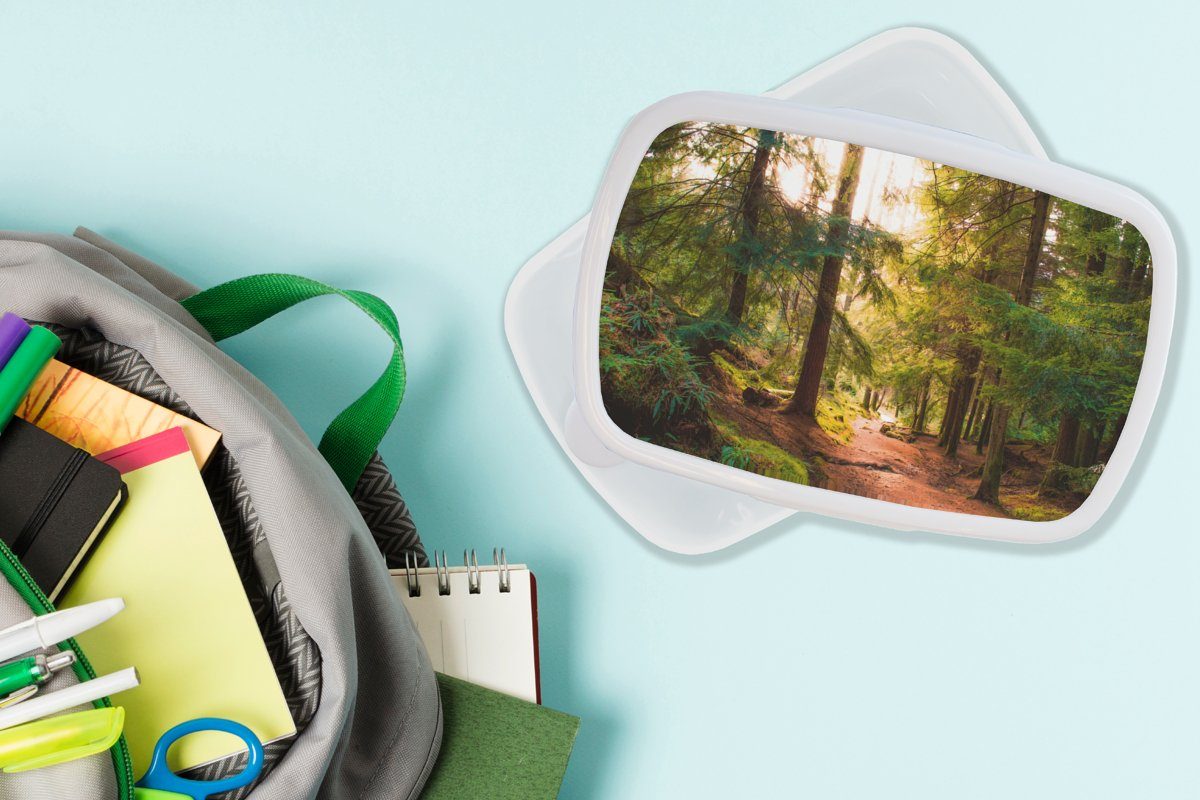 Kunststoff, MuchoWow Bäume - Brotdose, Natur, Brotbox Lunchbox weiß für - - Wald für Weg Mädchen Grün und und Kinder Jungs - (2-tlg), Erwachsene, - Sonne