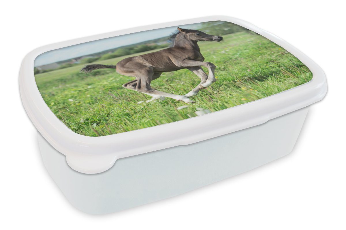 MuchoWow Lunchbox Pferd - Blumen - Gras, Kunststoff, (2-tlg), Brotbox für Kinder und Erwachsene, Brotdose, für Jungs und Mädchen weiß