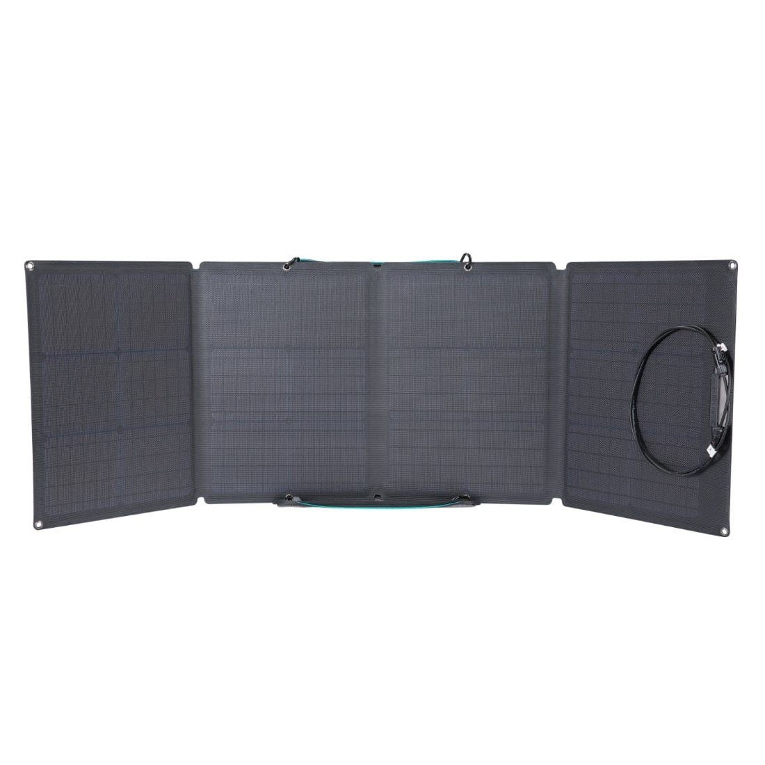 Ecoflow Panel Smart-Home-Station Ecoflow 110W Solar