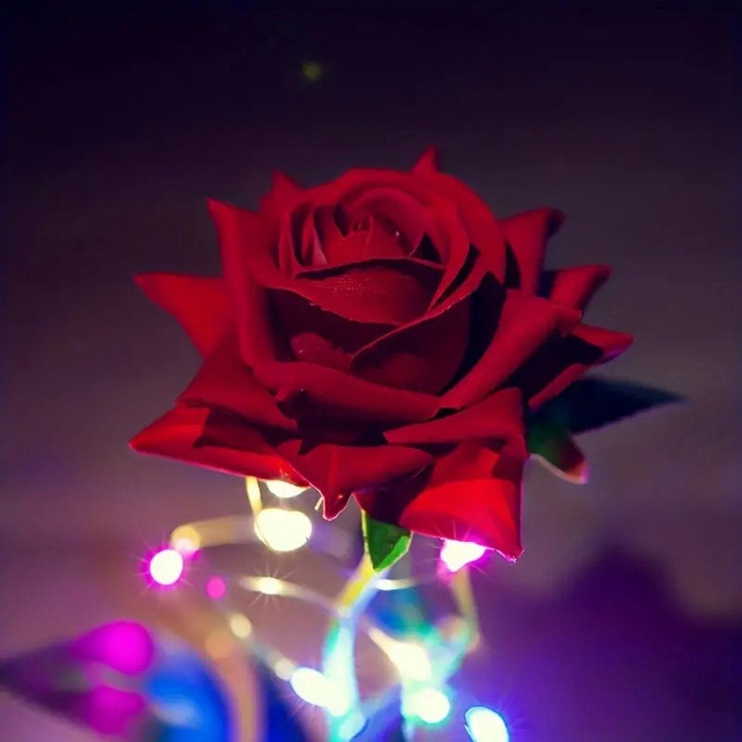 TUABUR LED-Lichterkette Ewiges Rosen-LED-Licht: Zuhause einen Sie romantischen Verleihen Ihrem