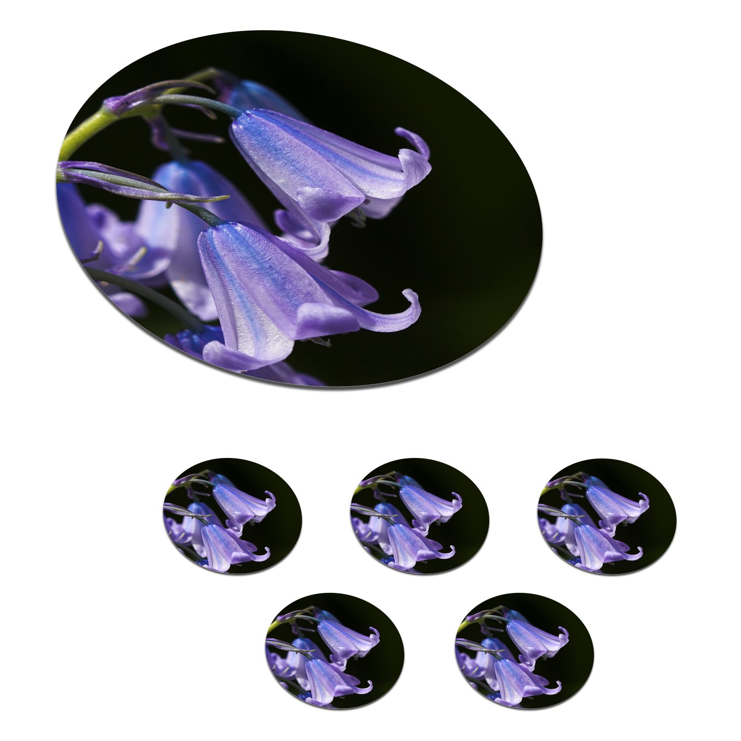 MuchoWow Glasuntersetzer Nahaufnahme der violetten Blüten einer Sternhyazinthe, Zubehör für Gläser, 6-tlg., Getränkeuntersetzer, Tassenuntersetzer, Korkuntersetzer, Tasse, Becher