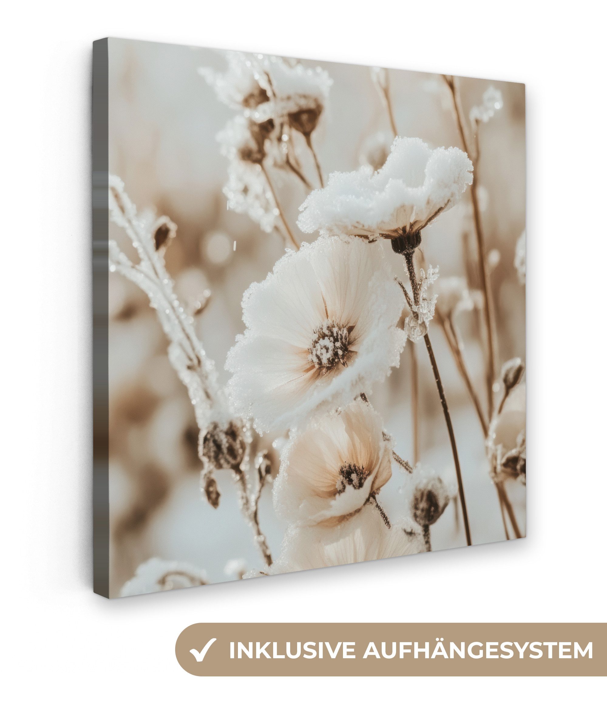 Leinwandbild Blumen - Winter - Weiß - Schnee - Beige