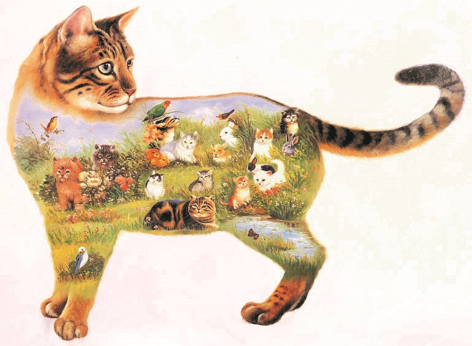 Konturenpuzzle Konturenpuzzle Katze - ca. 80x60 cm. Fotopuzzle, Puzzle 750 Teile