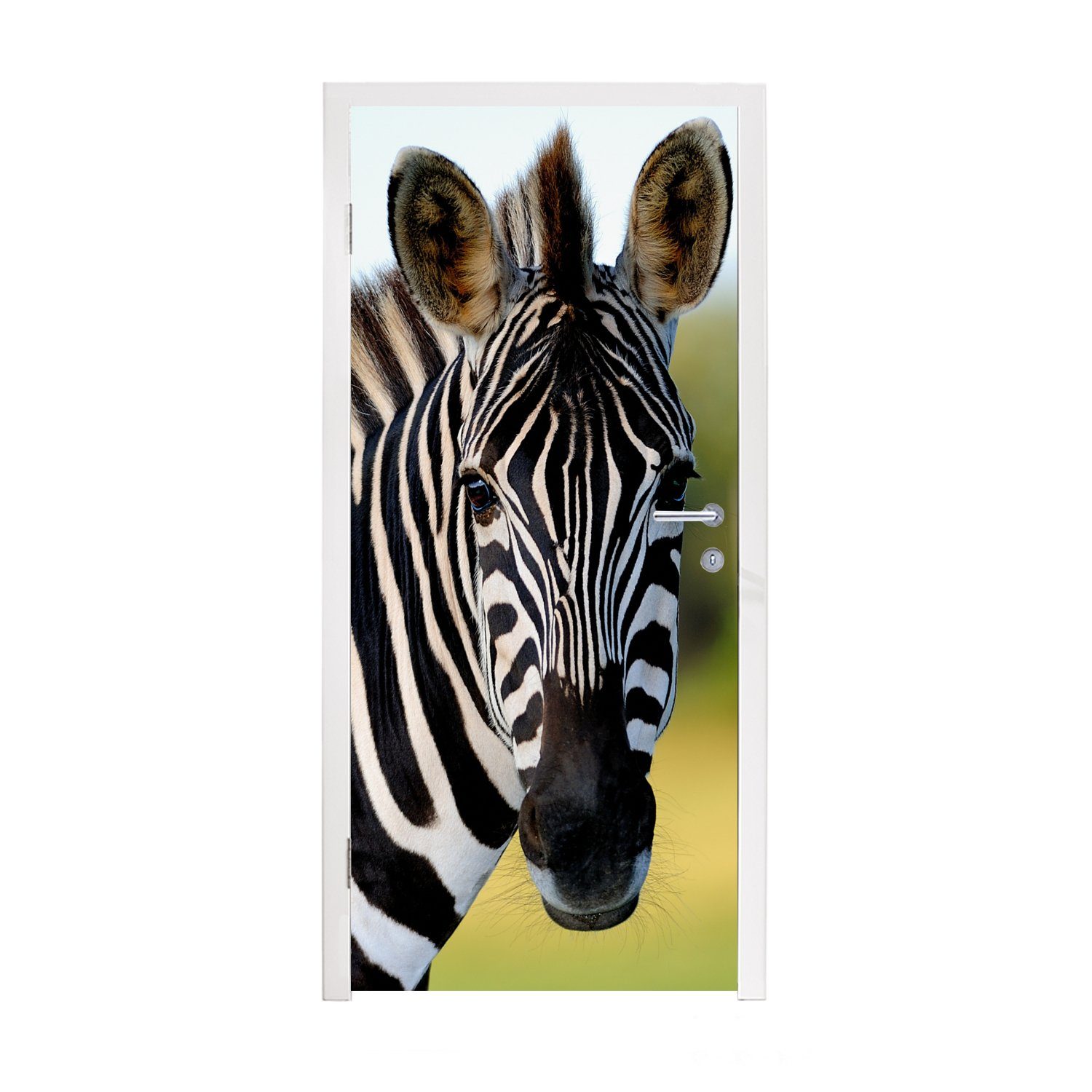 MuchoWow Türtapete Nahaufnahme Zebra, Matt, bedruckt, (1 St), Fototapete für Tür, Türaufkleber, 75x205 cm