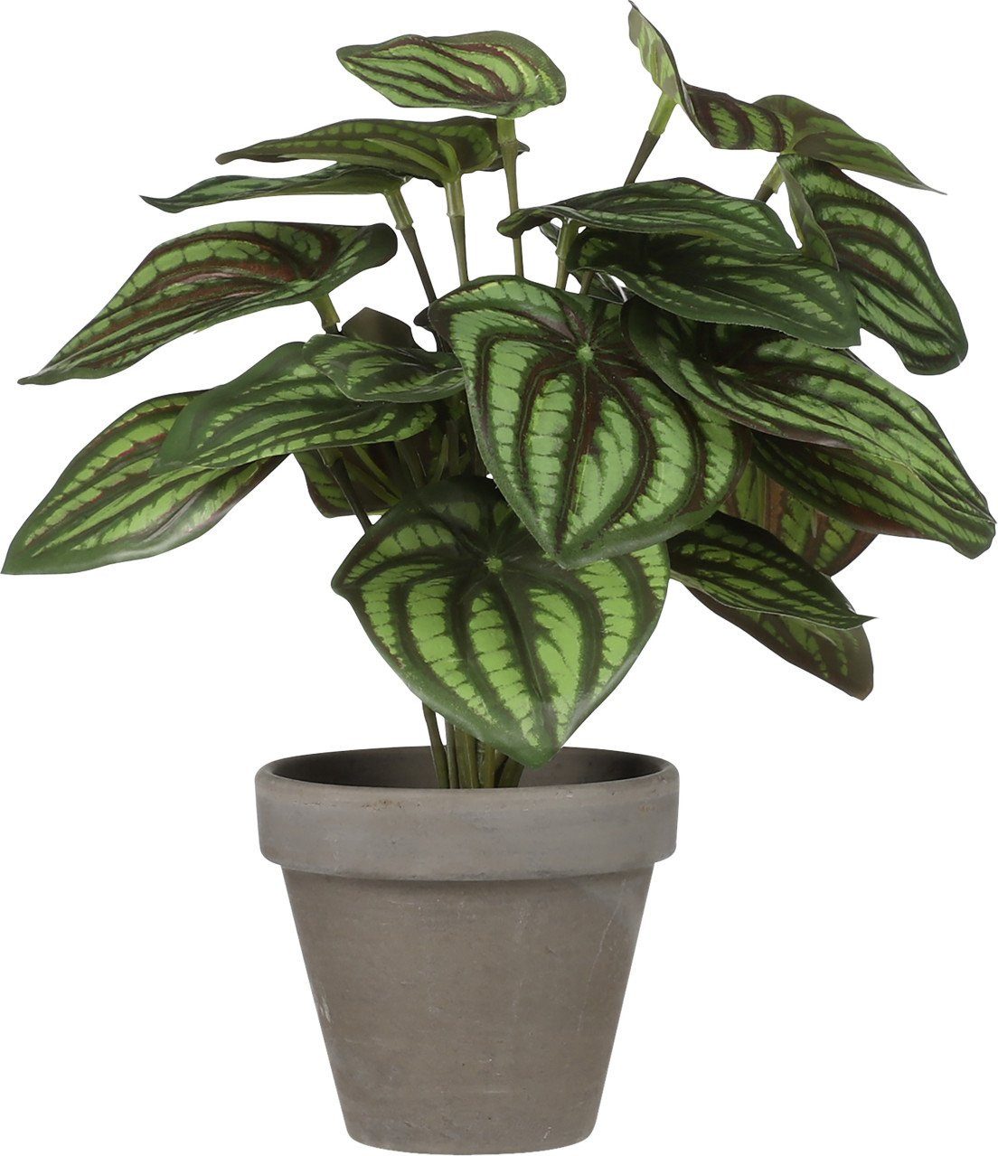 Kunstpflanze Mica Kunstpflanze Peperomia grün im Topf Ø 23 x 24, Mica Decor günstig online kaufen