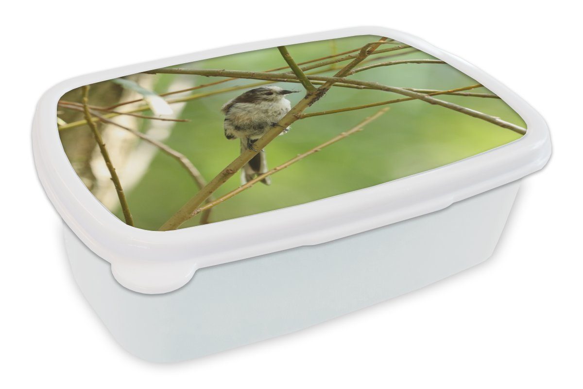 MuchoWow Lunchbox Vogel zwischen den Zweigen, Kunststoff, (2-tlg), Brotbox für Kinder und Erwachsene, Brotdose, für Jungs und Mädchen weiß
