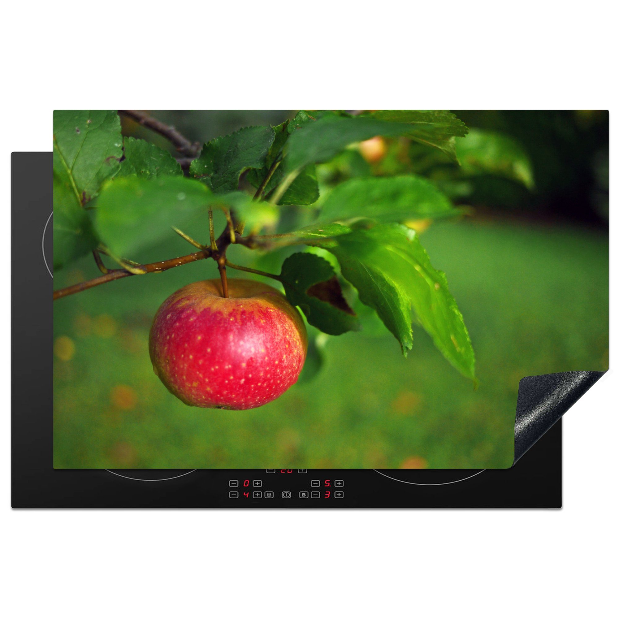 MuchoWow Herdblende-/Abdeckplatte Obst - Apfel - Baum, Vinyl, (1 tlg), 81x52 cm, Induktionskochfeld Schutz für die küche, Ceranfeldabdeckung