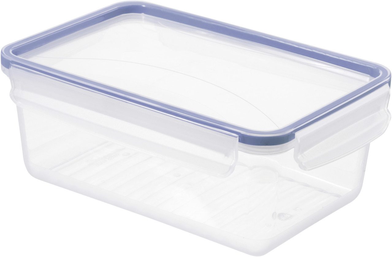 ROTHO Vorratsdose Rotho Kühlschrankdose Click & Lock, 2 l horizon, Silikon