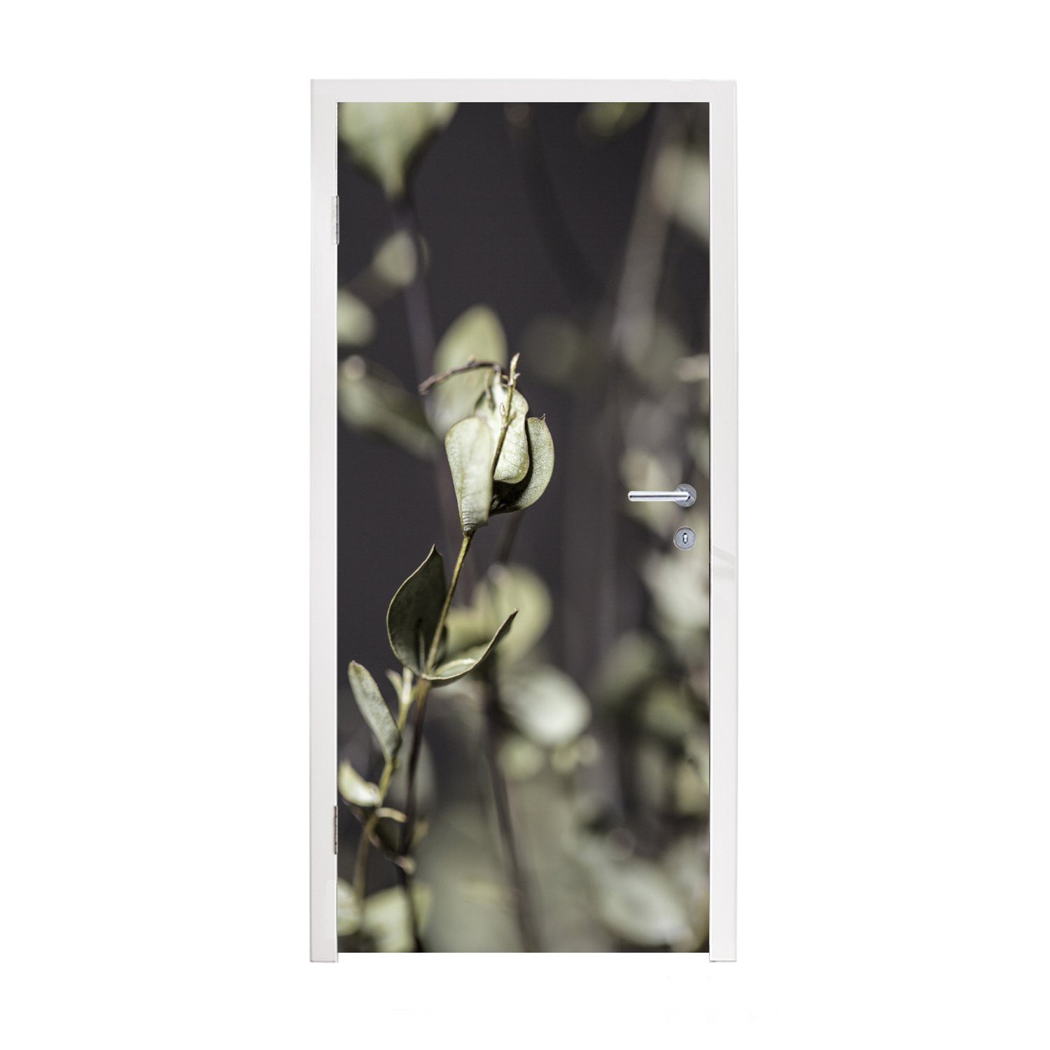 MuchoWow Türtapete Getrocknete Eukalyptuszweige, Matt, bedruckt, (1 St), Fototapete für Tür, Türaufkleber, 75x205 cm | Türtapeten