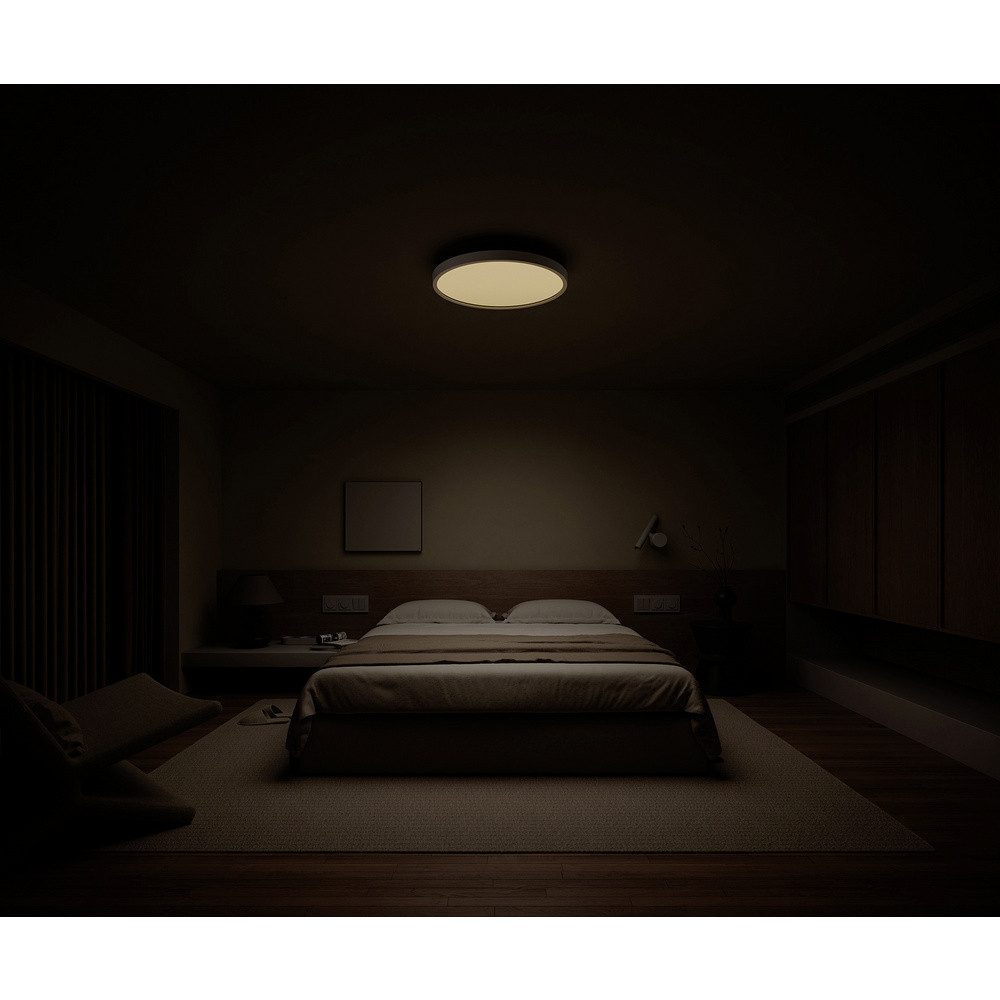 Xiaomi Deckenleuchte Xiaomi BHR9934GL Mi Smart LED Ceiling Light D30 Deckenaufbauleuchte LE