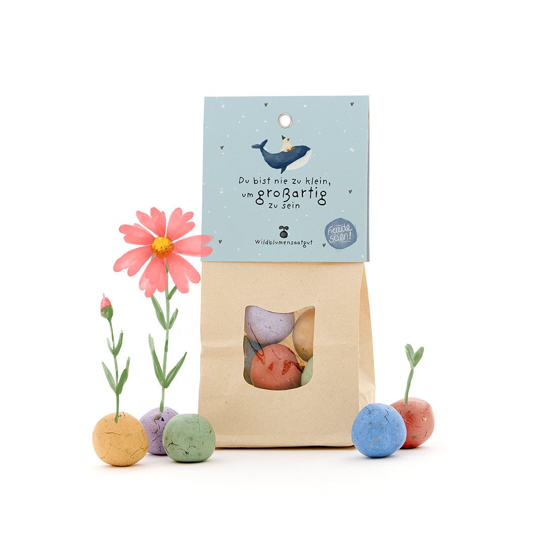 Blumensamen 8 Wildblumen-Saatkugeln als Mutmacher, Geschenkidee
