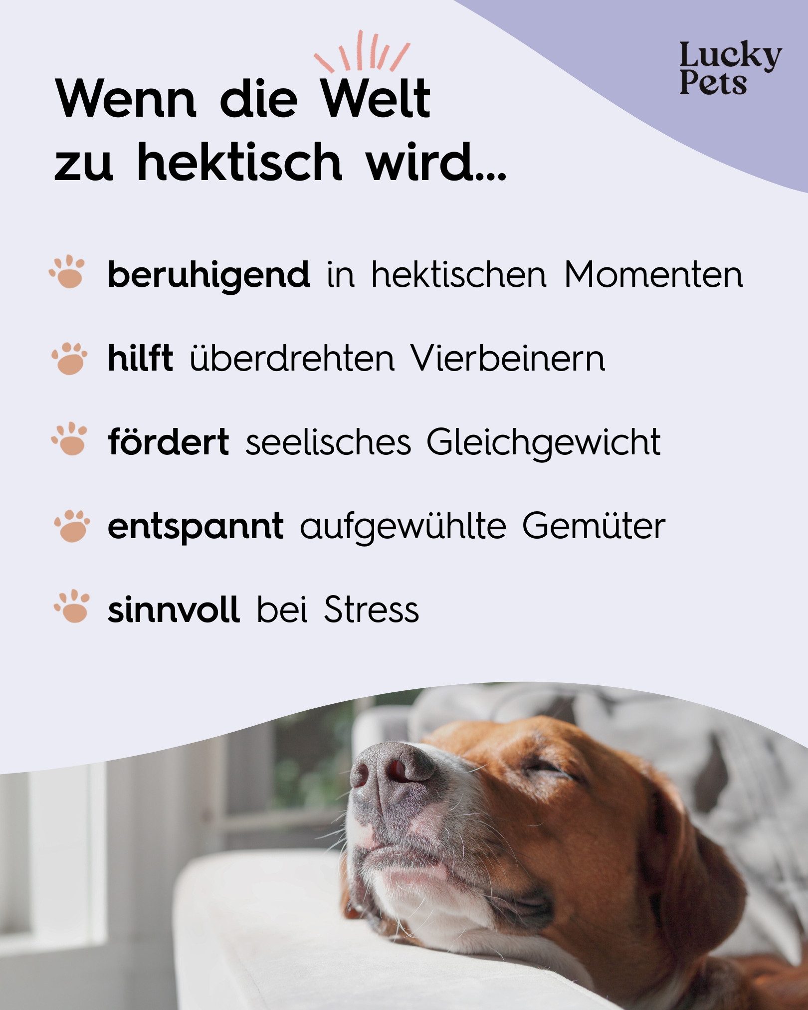 Lucky Pets Beruhigungstabletten für Hunde – Mit L-Tryptophan und Baldrian, Nahrungsergänzungsmittel für: Hunde, Katzen