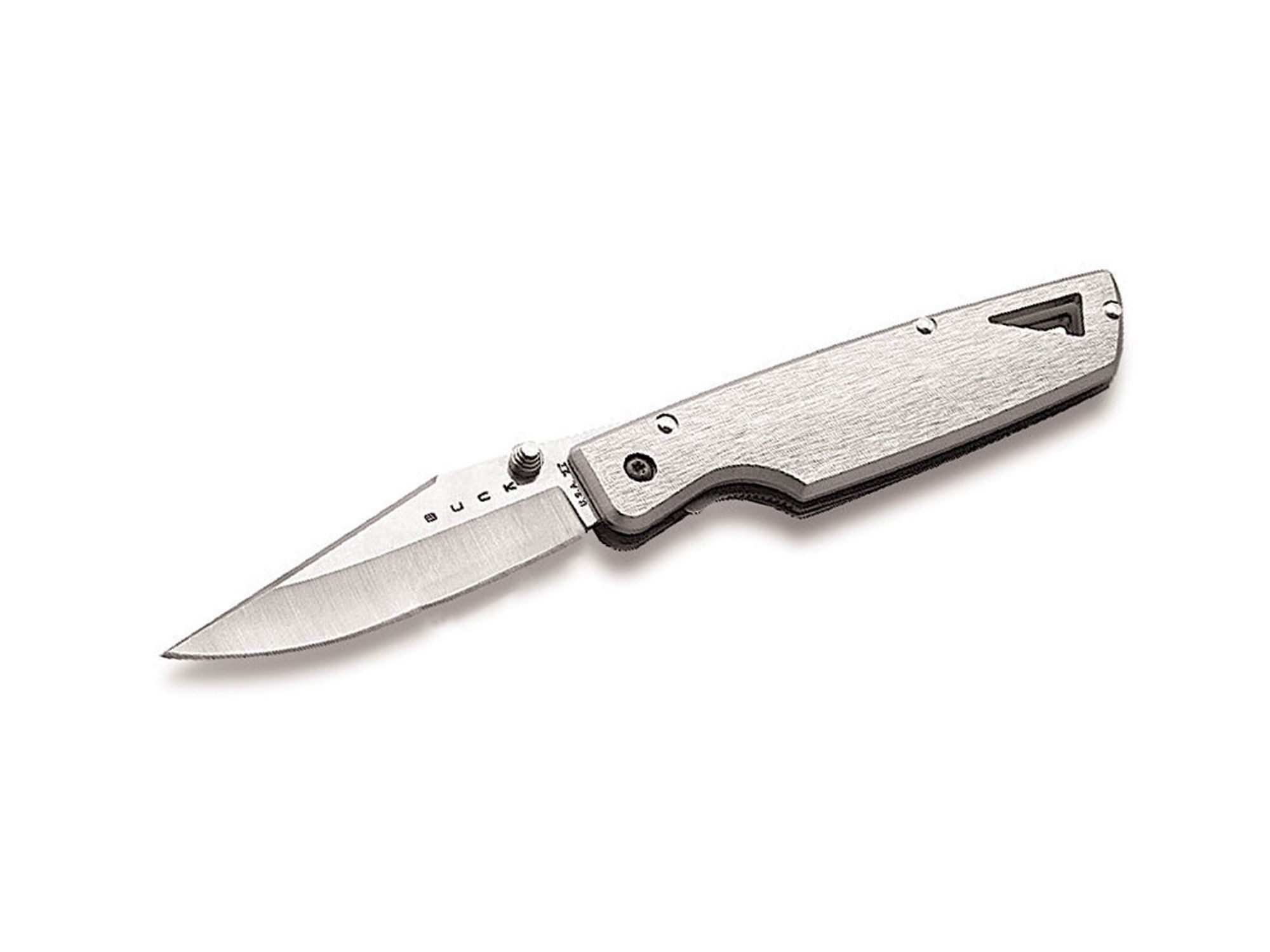 Buck Knives Taschenmesser Buck Lightning HTA I Silber 170Fl