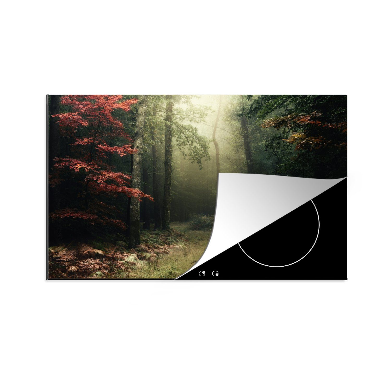 MuchoWow Herdblende-/Abdeckplatte Dunkelheit - Wald - Bäume, Vinyl, (1 tlg), 81x52 cm, Induktionskochfeld Schutz für die küche, Ceranfeldabdeckung