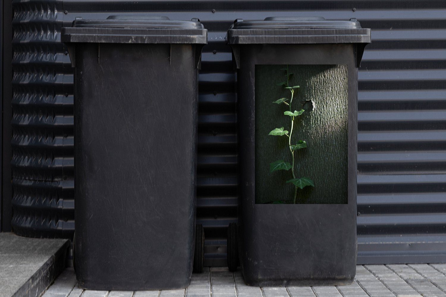 Container, auf Wandsticker (1 einen klettert Abfalbehälter St), Sticker, Eine MuchoWow Mülleimer-aufkleber, junge Baum Hedera Mülltonne,
