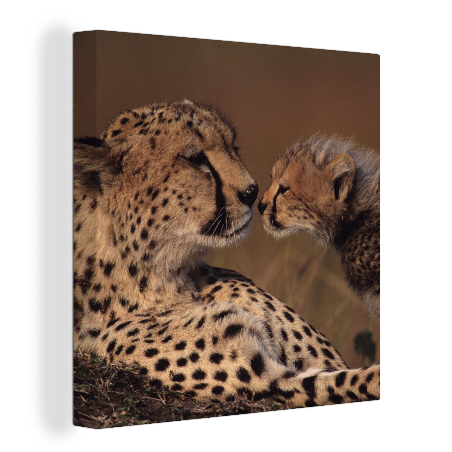 OneMillionCanvasses® Leinwandbild Gepardenmutter und Jungtier, (1 St), Leinwand Bilder für Wohnzimmer Schlafzimmer