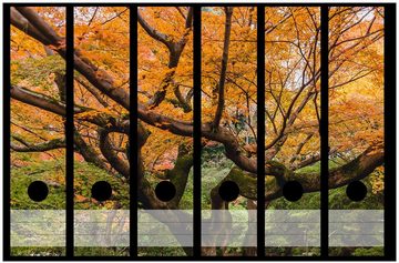 Wallario Etiketten Gelber Ahornbaum im Herbst in Japan, Ordnerrücken-Sticker in verschiedenen Ausführungen