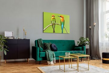 Sinus Art Leinwandbild 120x80cm Wandbild auf Leinwand Kastanien Köpfiger kleine Vögel Farbenf, (1 St)