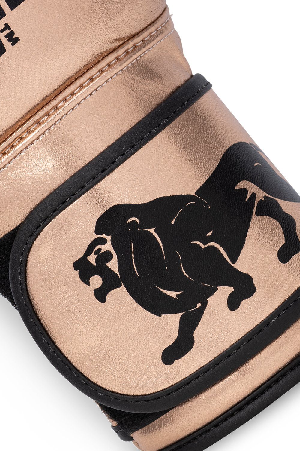 Lonsdale Boxhandschuhe DINERO (2-tlg)