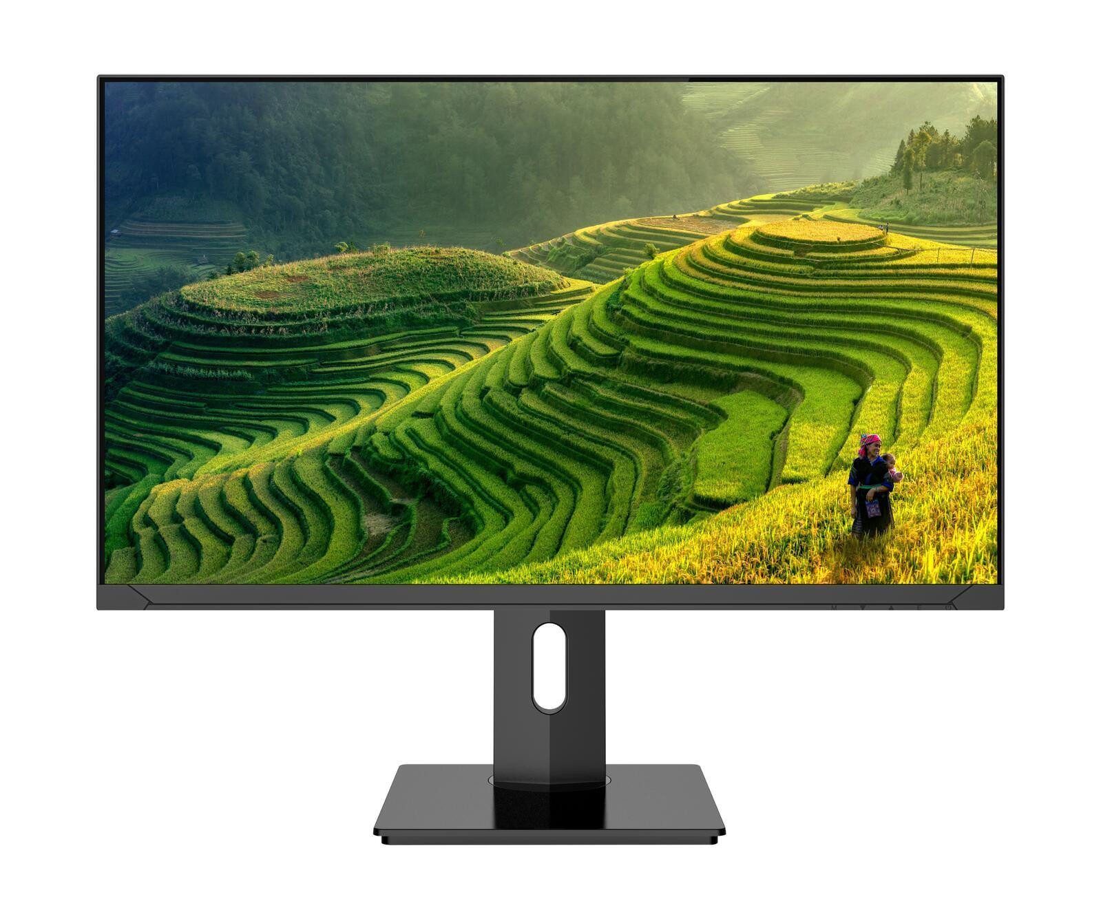 JAPANNEXT TFT-Monitor (3840 x 2160, 8 ms Reaktionszeit, 60 Hz, ELED)