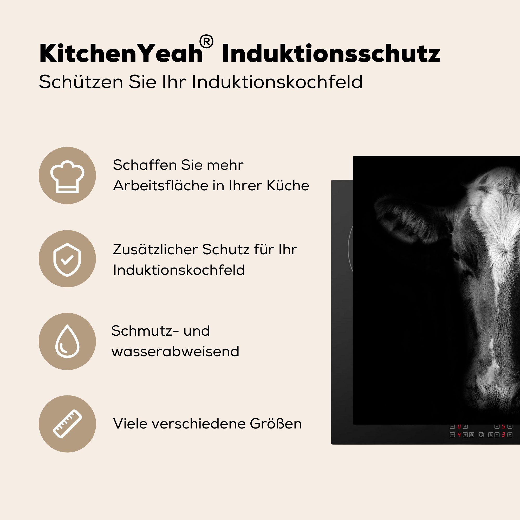 59x52 Schwarz, - MuchoWow die für cm, Kuh Ceranfeldabdeckung küche, (1 Vinyl, Tiere Herdblende-/Abdeckplatte Induktionsmatte tlg), -
