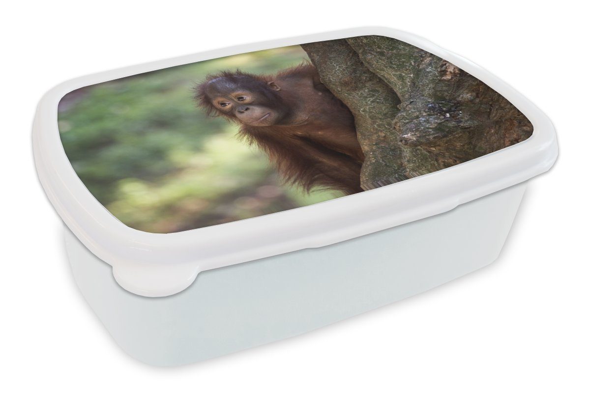 MuchoWow Lunchbox Baby - Orang-Utan - Baum, Kunststoff, (2-tlg), Brotbox für Kinder und Erwachsene, Brotdose, für Jungs und Mädchen weiß