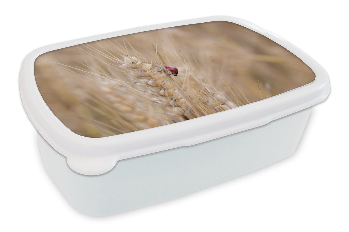 MuchoWow Lunchbox Marienkäfer in einem Weizenfeld, Kunststoff, (2-tlg), Brotbox für Kinder und Erwachsene, Brotdose, für Jungs und Mädchen weiß