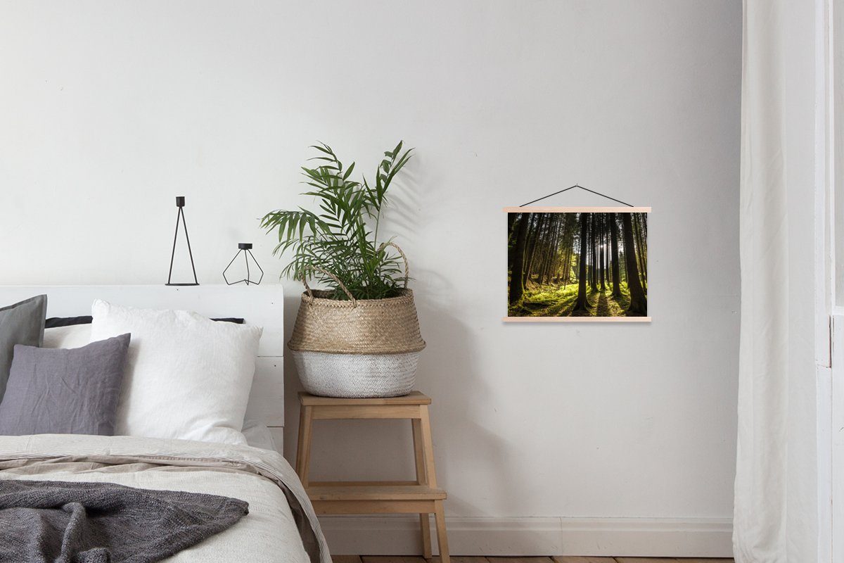 - - (1 Bilderleiste, MuchoWow Posterleiste, St), Wohnzimmer, Wald, für Poster Textilposter Magnetisch Sonne Baum - Natur