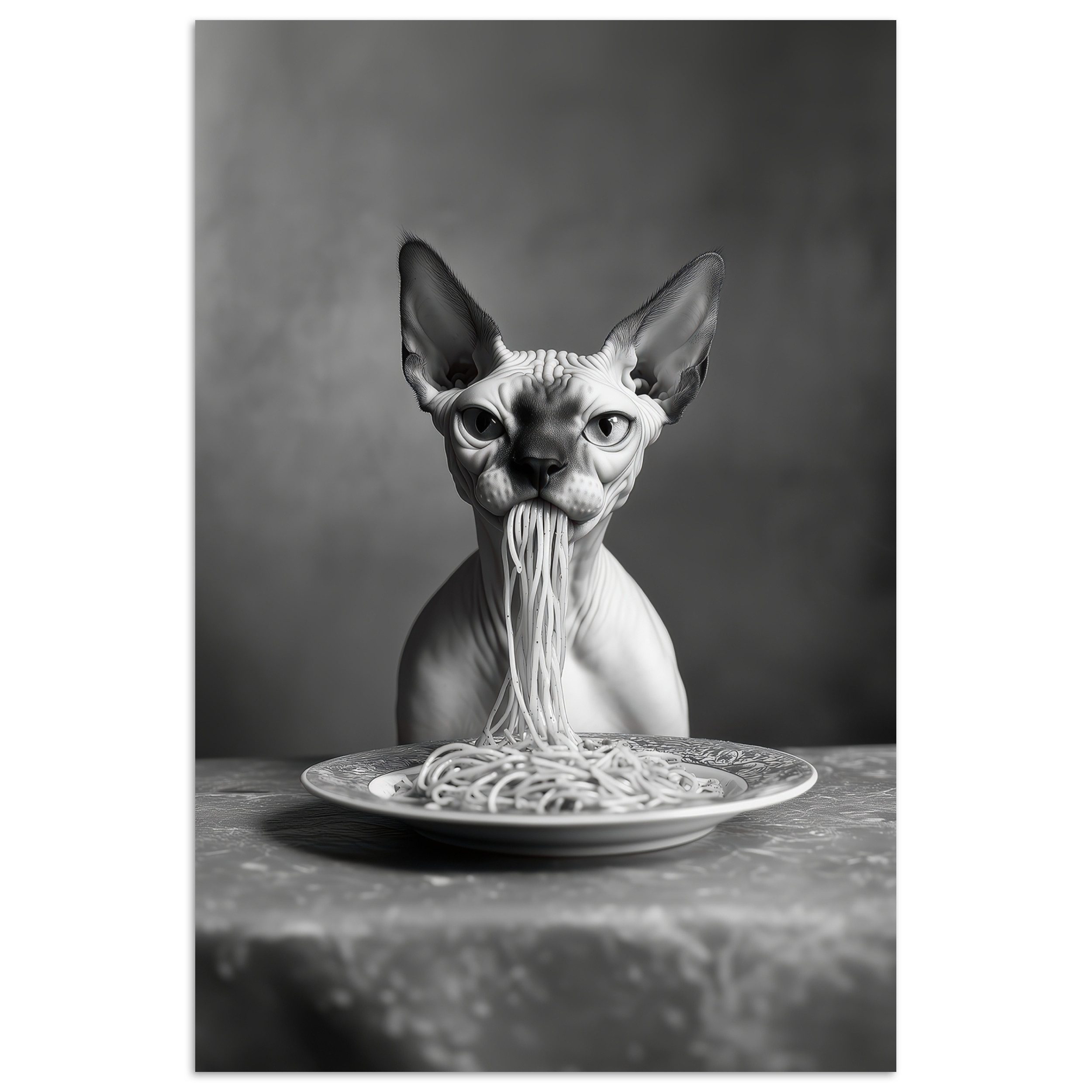 MuchoWow Poster Sphynx - Katze - günstig online kaufen