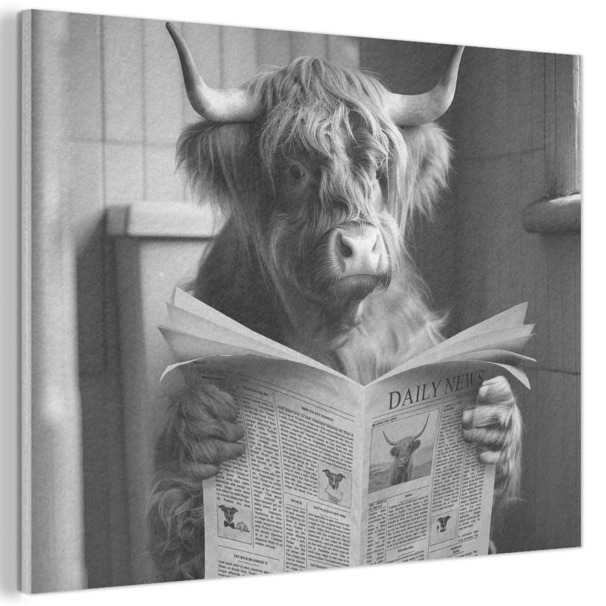 MuchoWow Gemälde Scottish Highlander - Kuh - Zeitung - WC - Schwarz und weiß, Fotodruck (1 St), Akustikpaneele PET-Filz, Akustikbild, Schalldämmung, Deko 40x30 cm