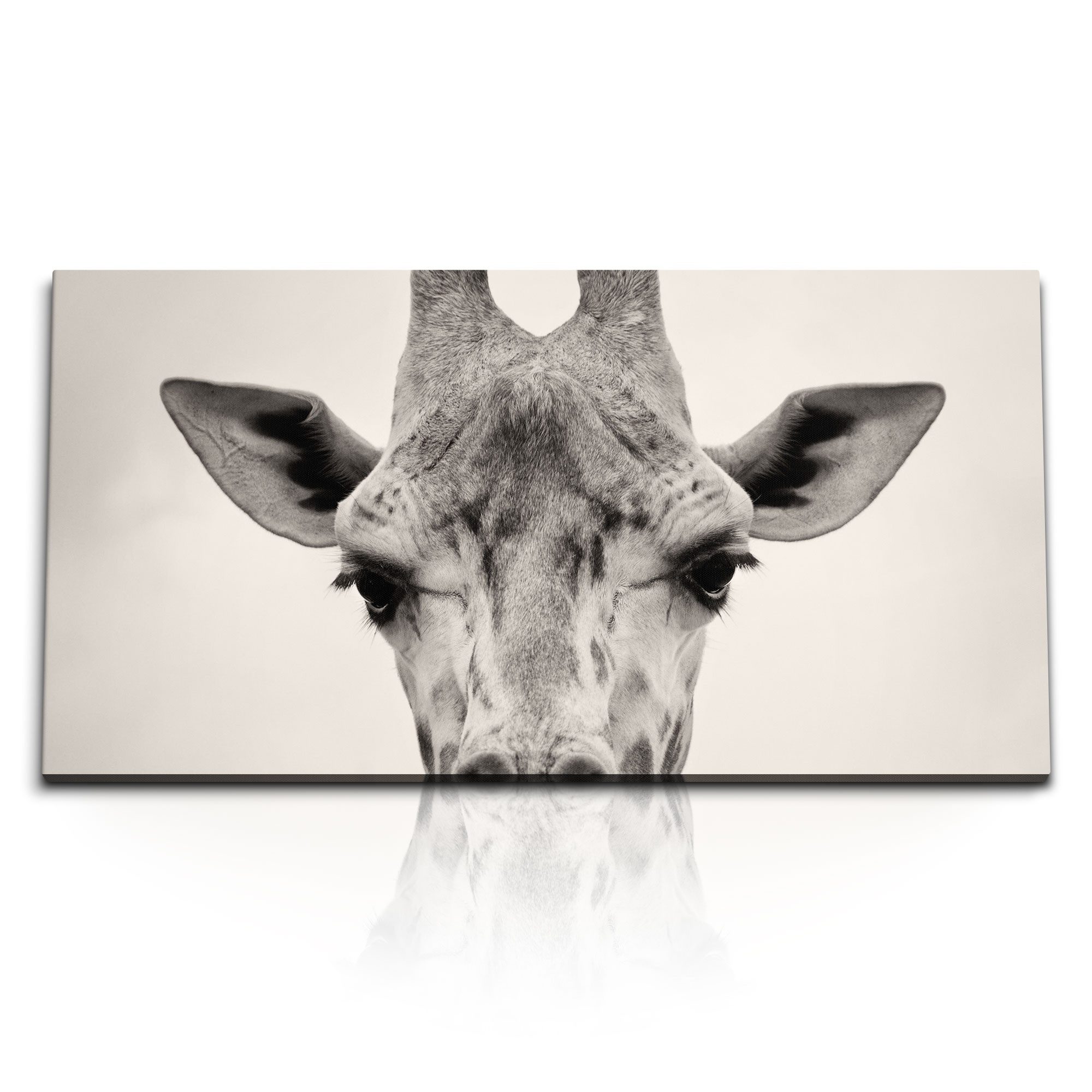 Leinwandbild Kunstdruck Bilder 120x60cm Porträt Giraffe Tierfotografie Afrika Kunst