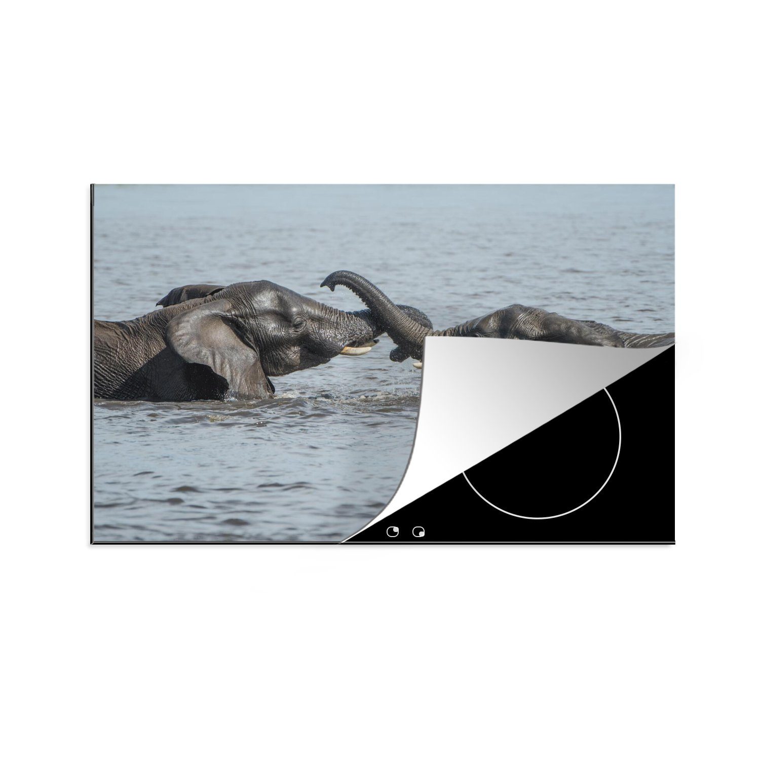 Induktionskochfeld Schutz Ceranfeldabdeckung Herdblende-/Abdeckplatte küche, Fluss MuchoWow Elefant für - die Wasser, Vinyl, tlg), - 81x52 (1 cm,