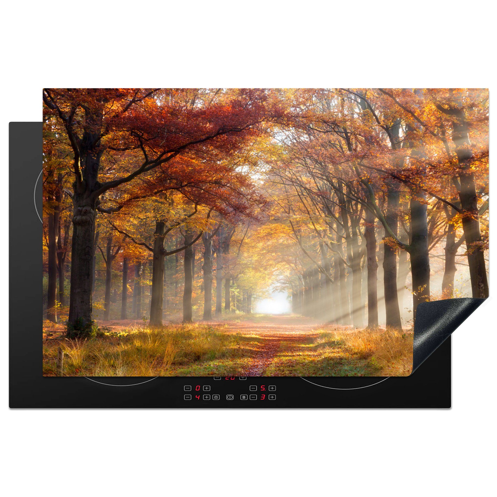 MuchoWow Herdblende-/Abdeckplatte Herbst - Wald - Baum, Vinyl, (1 tlg), 81x52 cm, Induktionskochfeld Schutz für die küche, Ceranfeldabdeckung
