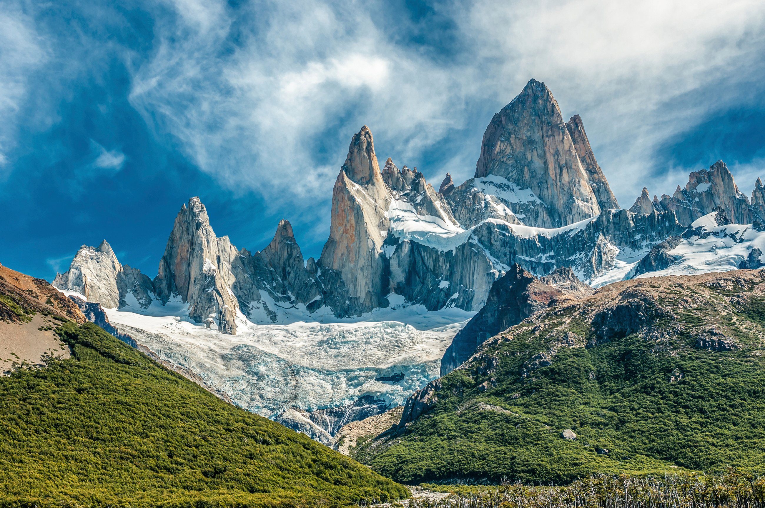 Fototapete GEBIRGE-PATAGONIEN BLUMEN BERGE WIESE SONNE WALD FLUSS