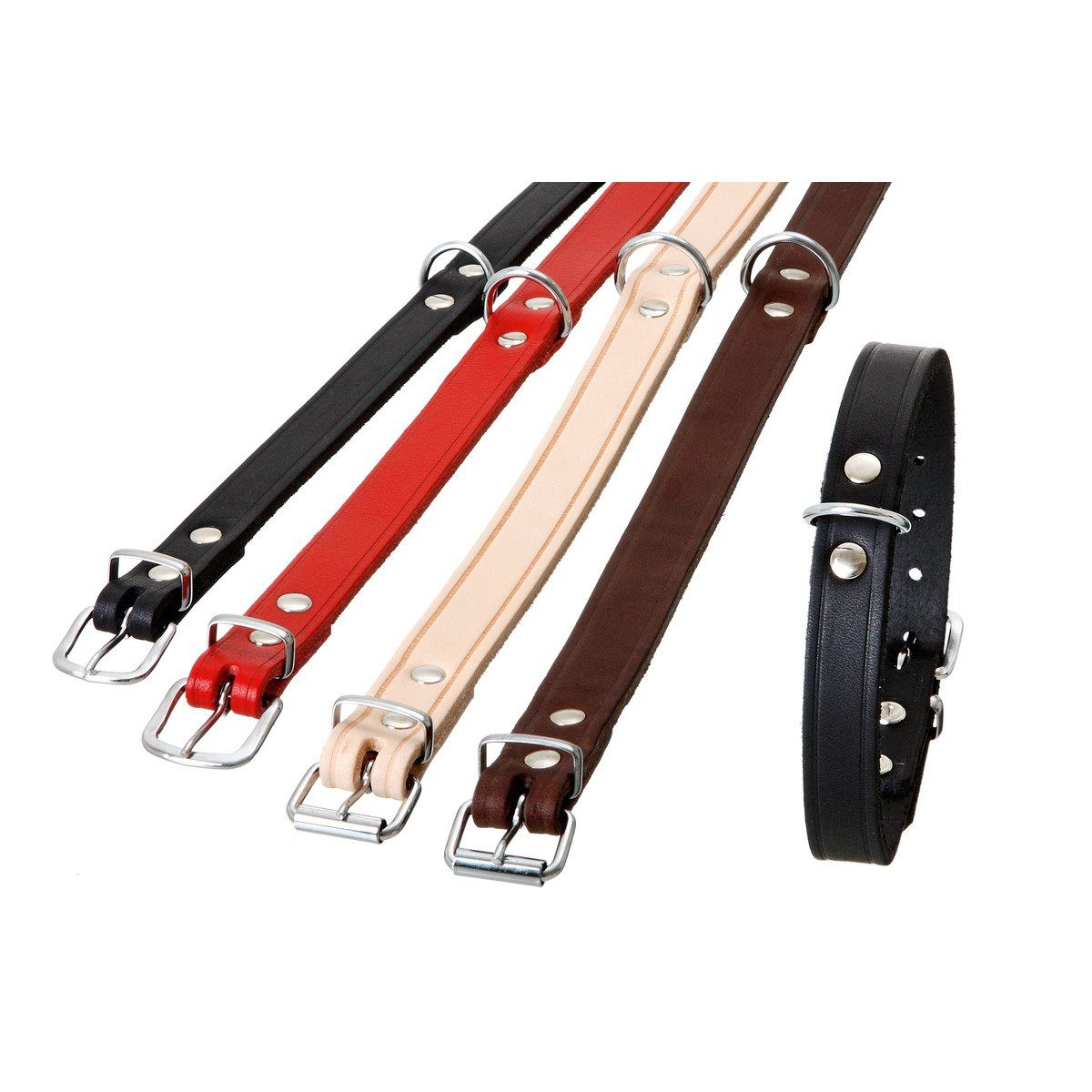 Karlie Hunde-Halsband Halsband Rondo schwarz